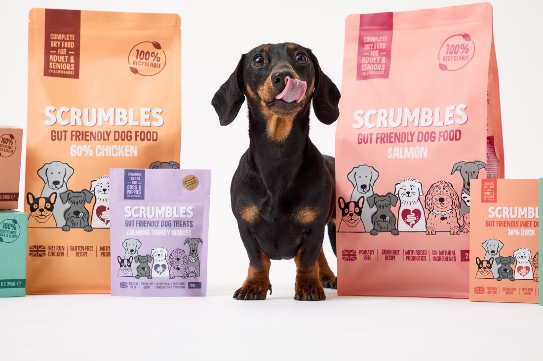 best dog food guide