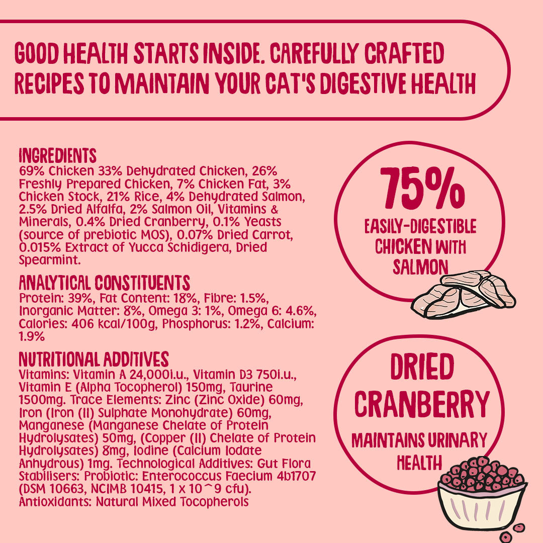 Salmon Dry Cat Food