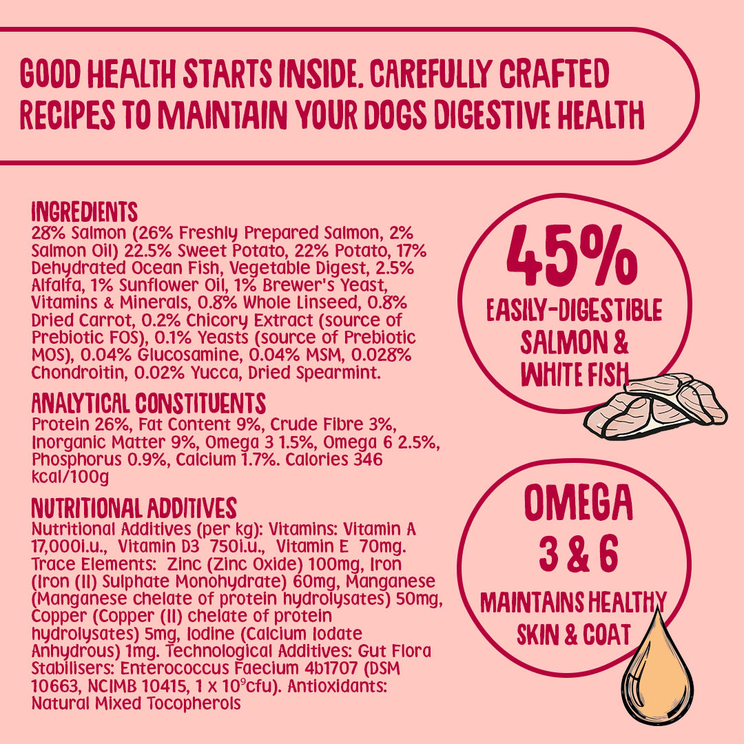 Salmon Dry Dog Food