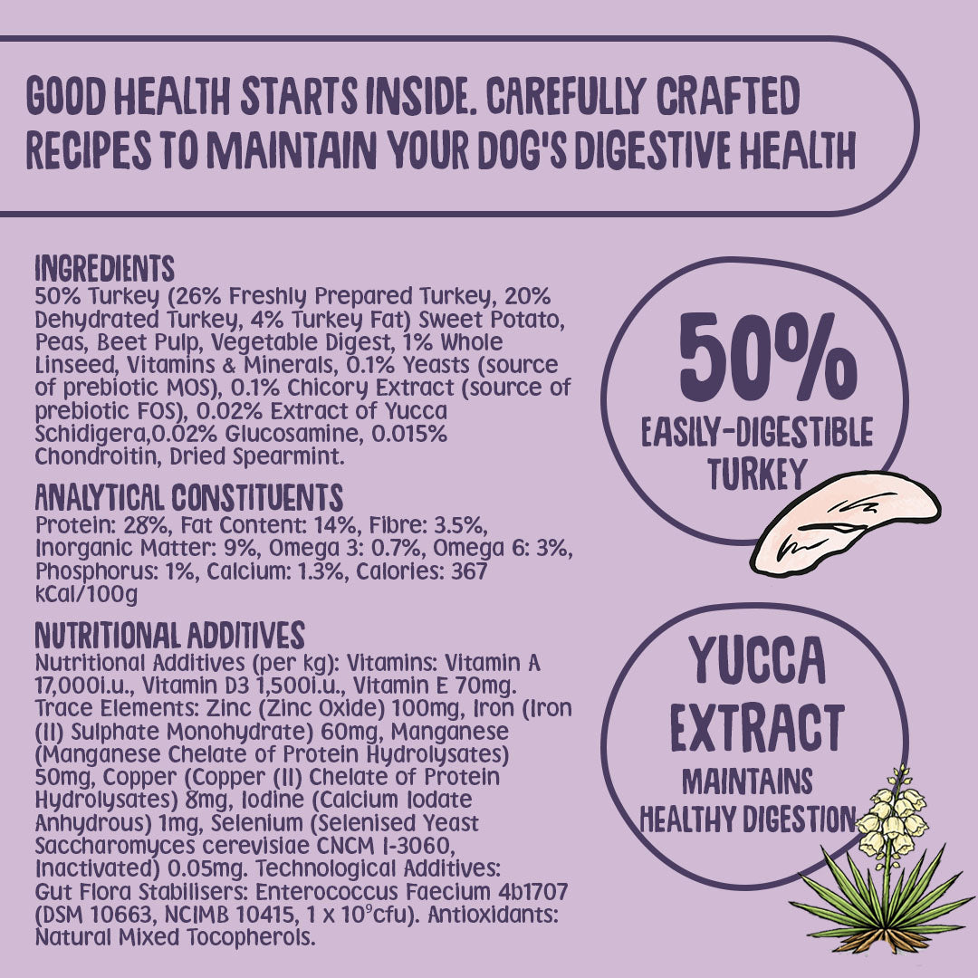 Turkey Dry Dog Food