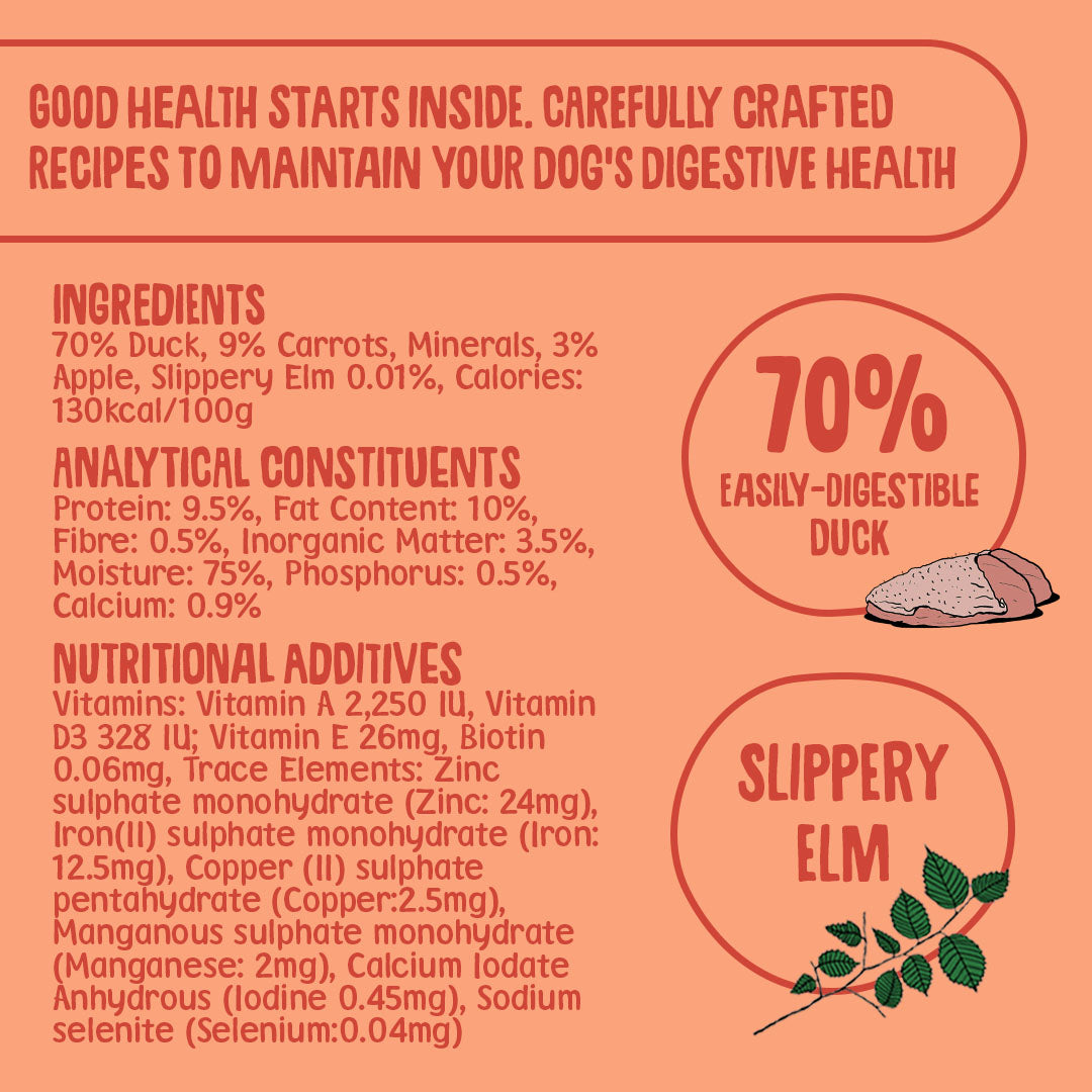 Grain Free Duck Wet Dog Food (395g)