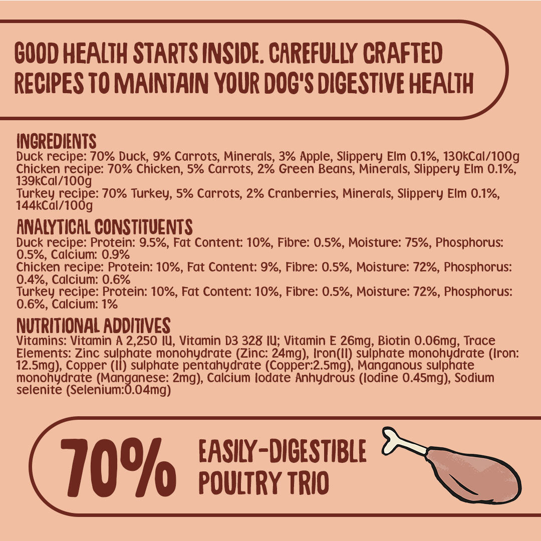 Poultry Wet Dog Food Selection (395g)