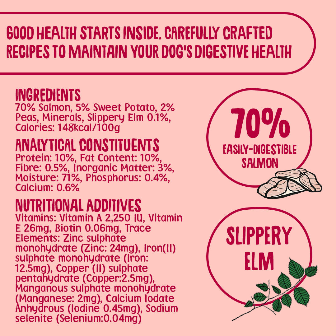 Grain Free Salmon Wet Dog Food (395g)