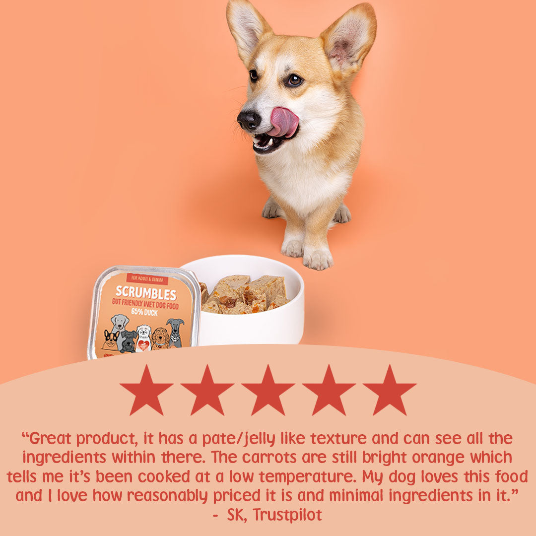 Duck Wet Dog Food 150g