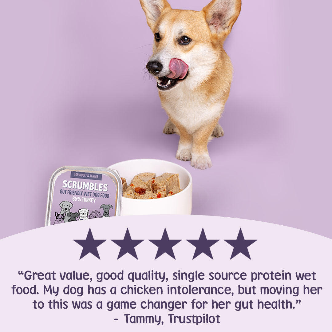 Turkey Wet Dog Food 150g
