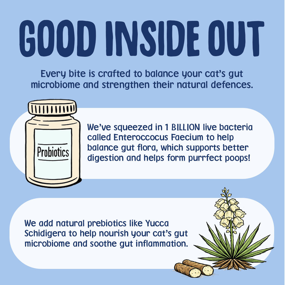 Advertisement for probiotics for cats on a blue background with text and illustrations.
