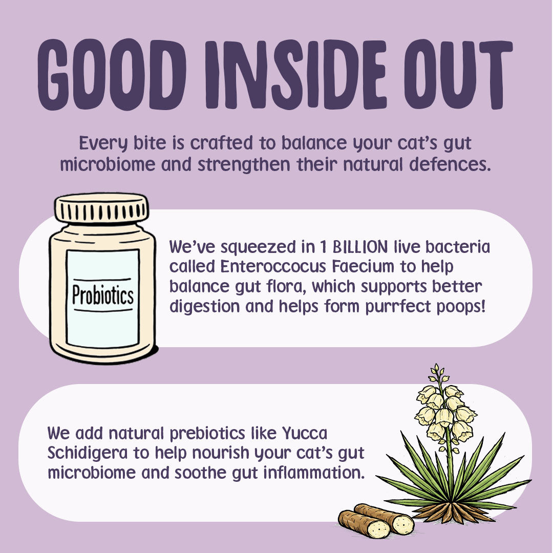Advertisement for probiotics for cats on a purple background with text and illustrations.