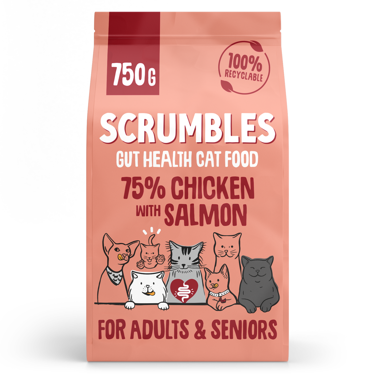 Salmon Dry Cat Food