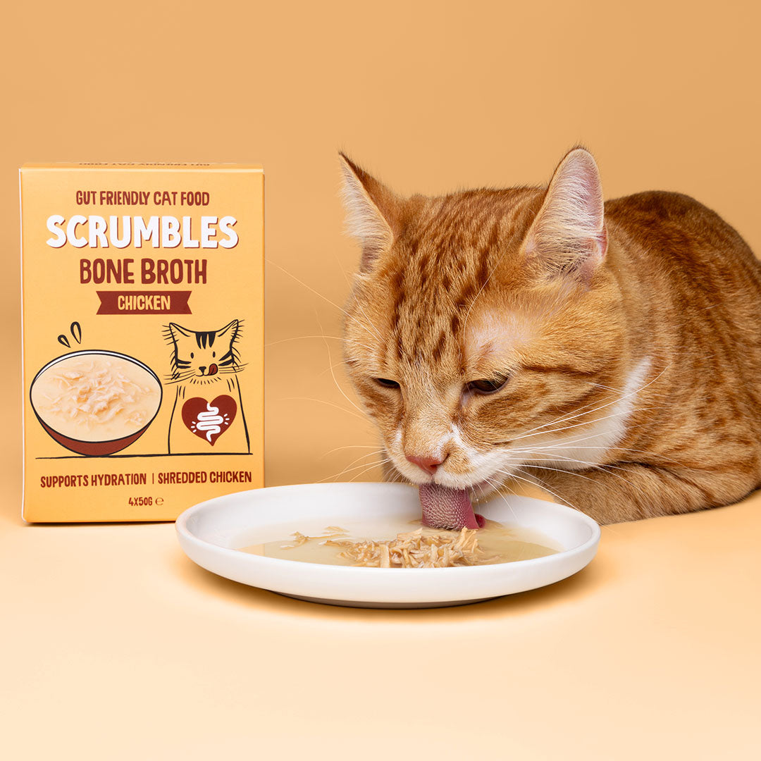 Chicken Bone Broth Cat Soup