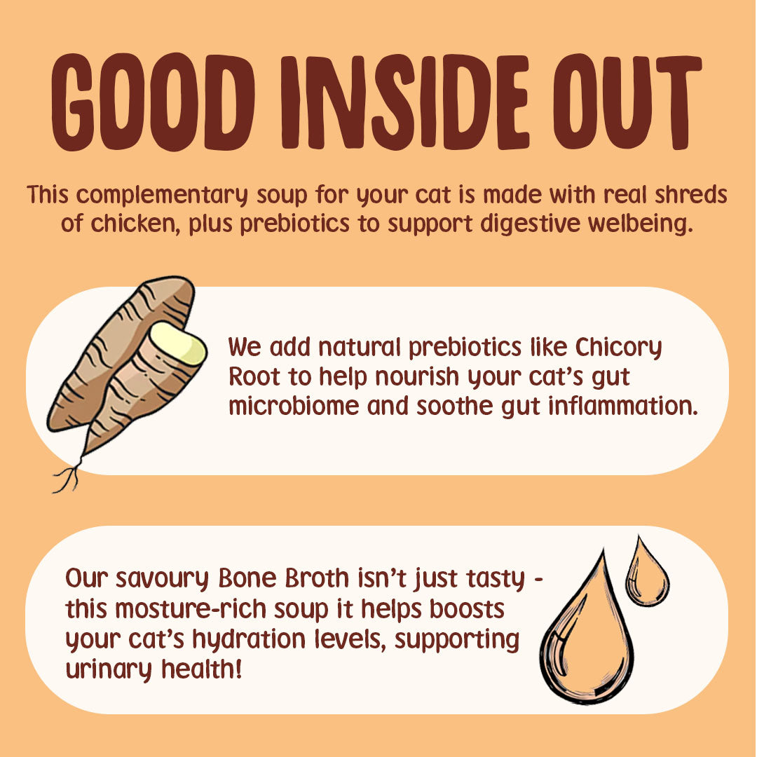 Advertisement for a cat soup product with text and illustrations on an orange background