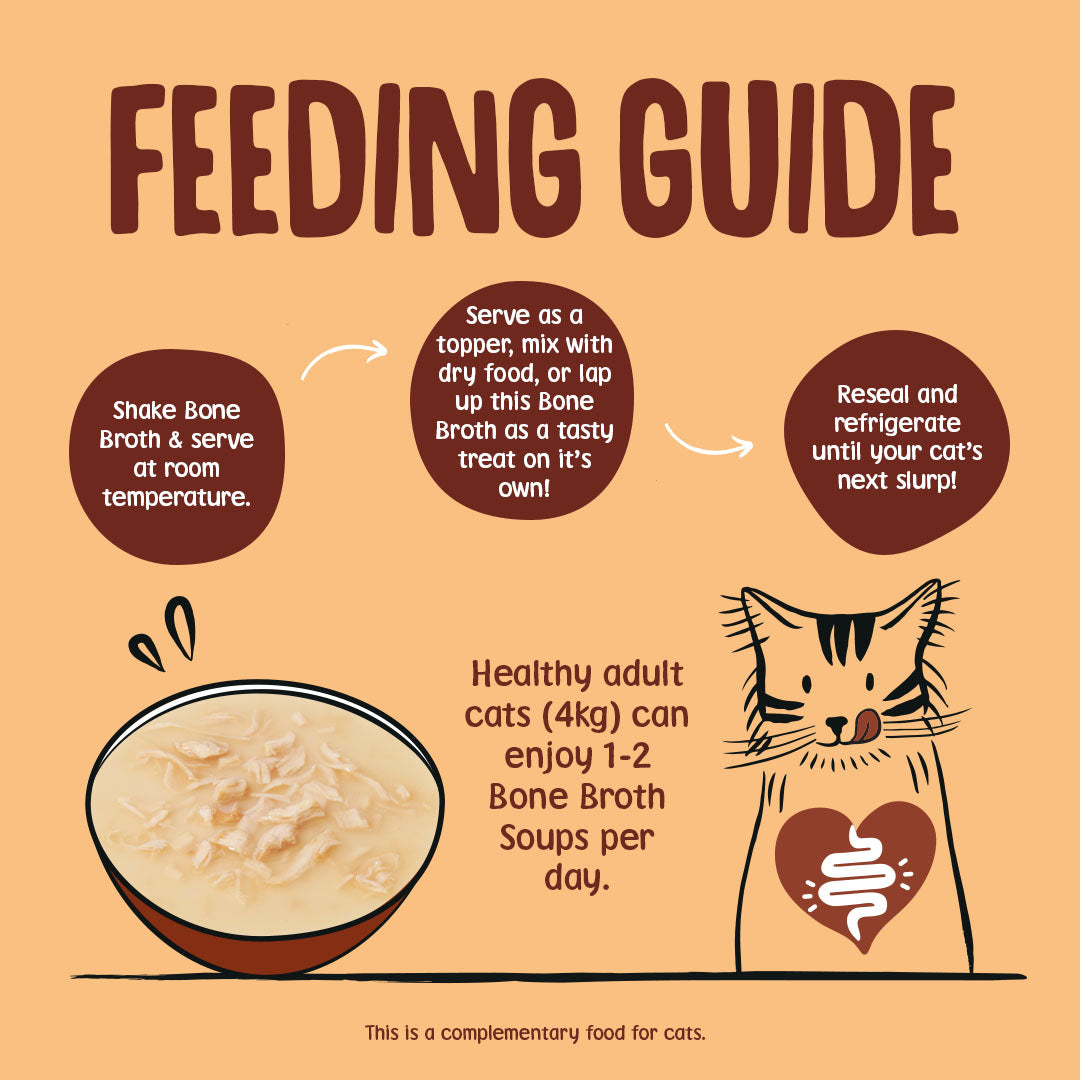 Chicken Bone Broth Cat Soup