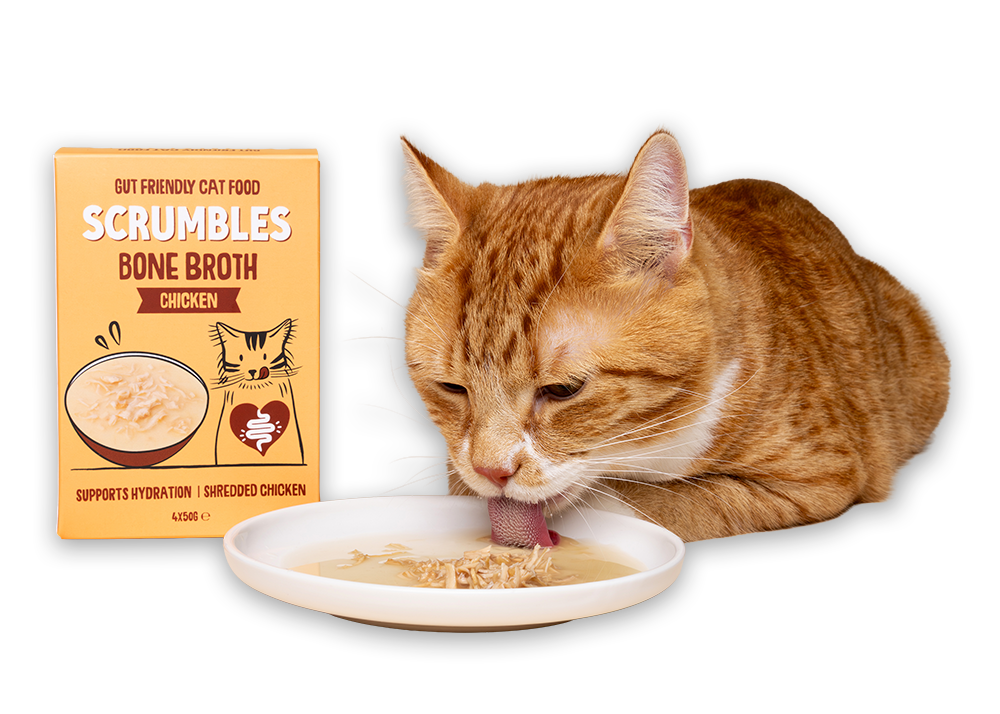 Cat eating from a plate with Scrumbles bone broth cat food packaging next to it.