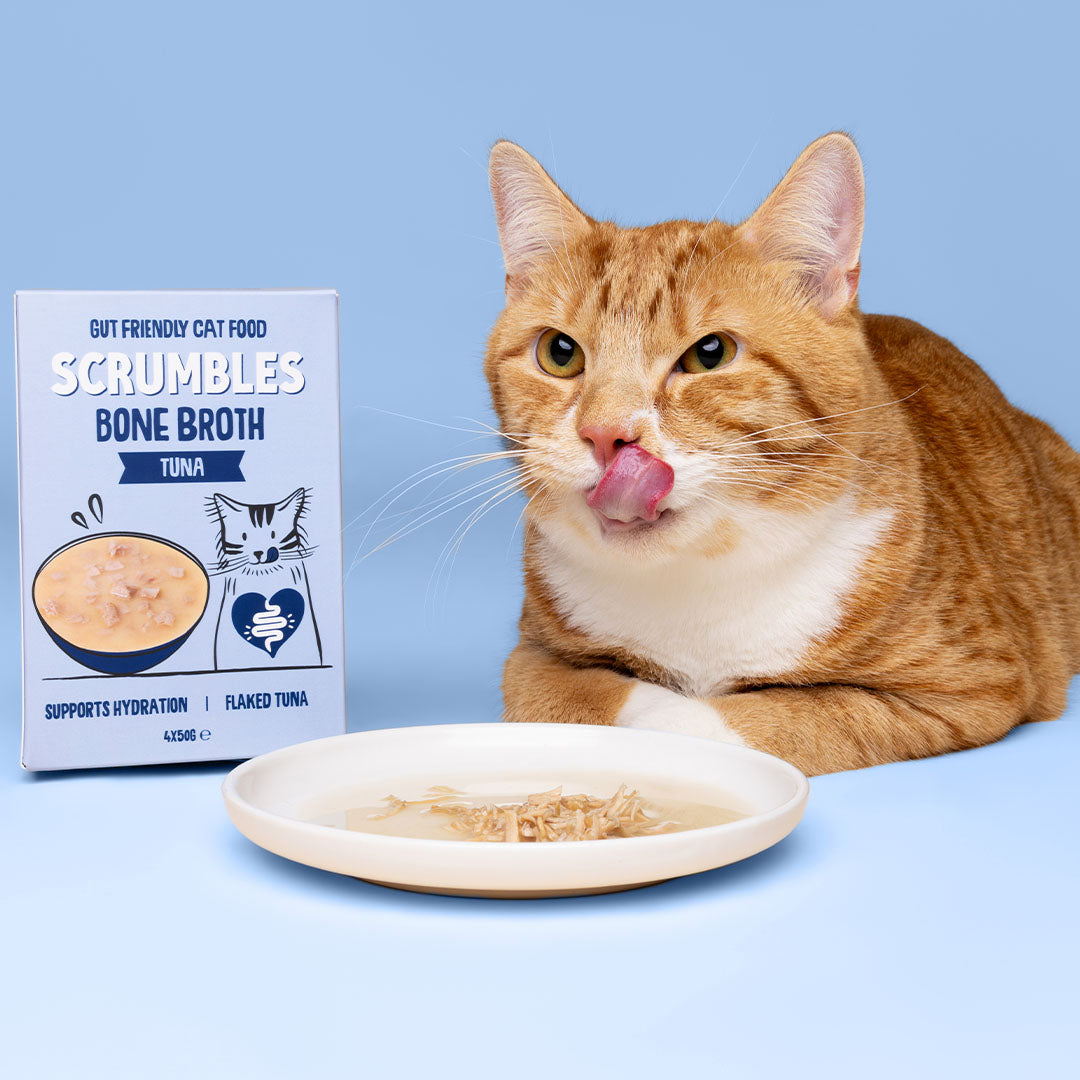 Tuna Bone Broth Cat Soup