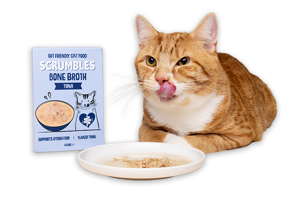 cat with scrumbles tuna bone broth cat soup