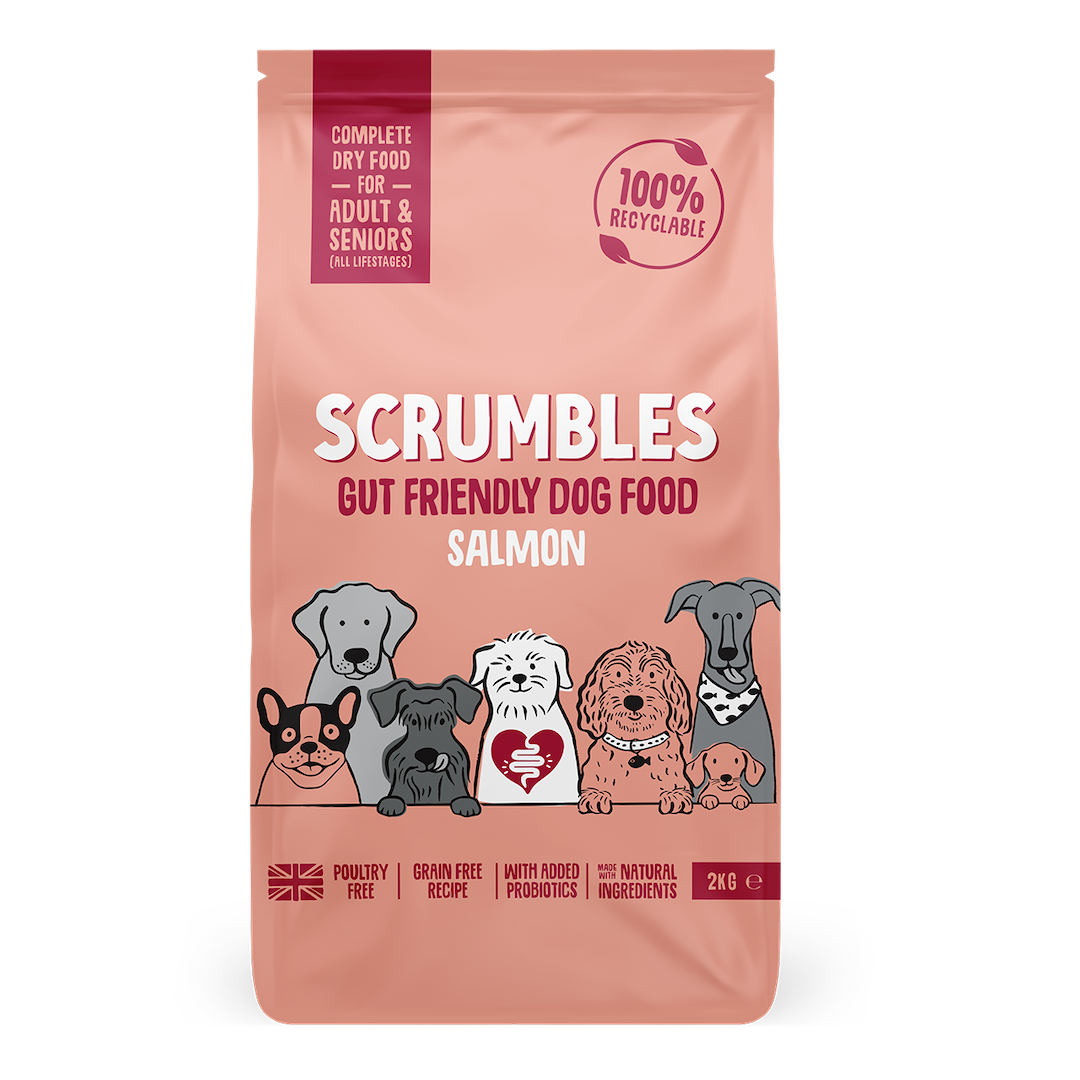 Salmon Dry Dog Food