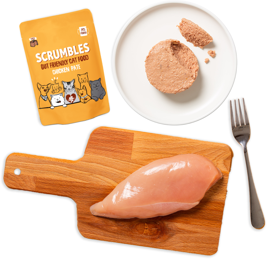 pate pouch cat food