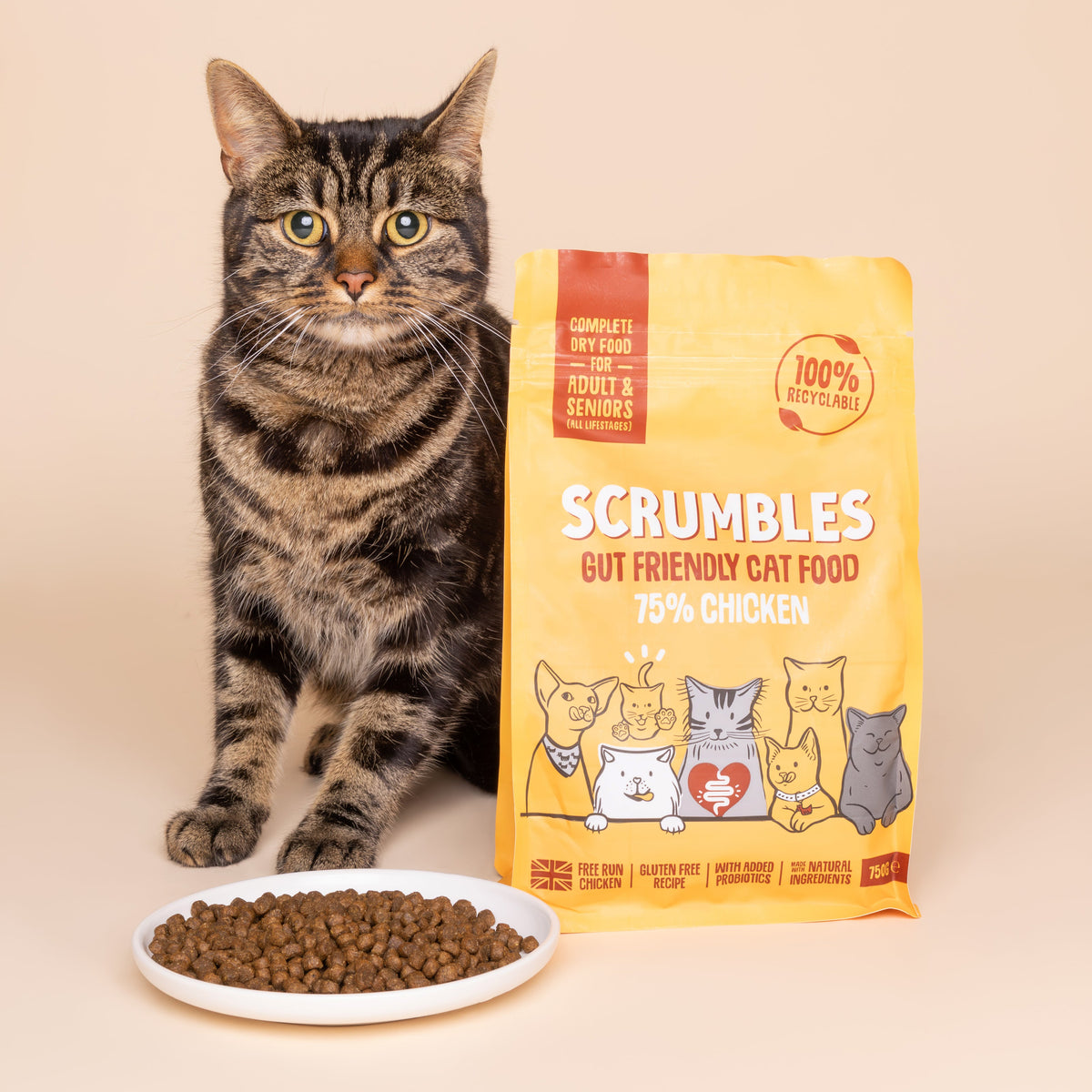 DRY CAT FOOD