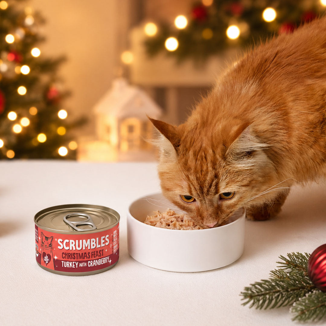 Shredded Turkey & Cranberry Christmas Cat Food in Broth