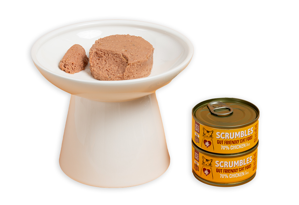 pate wet cat food