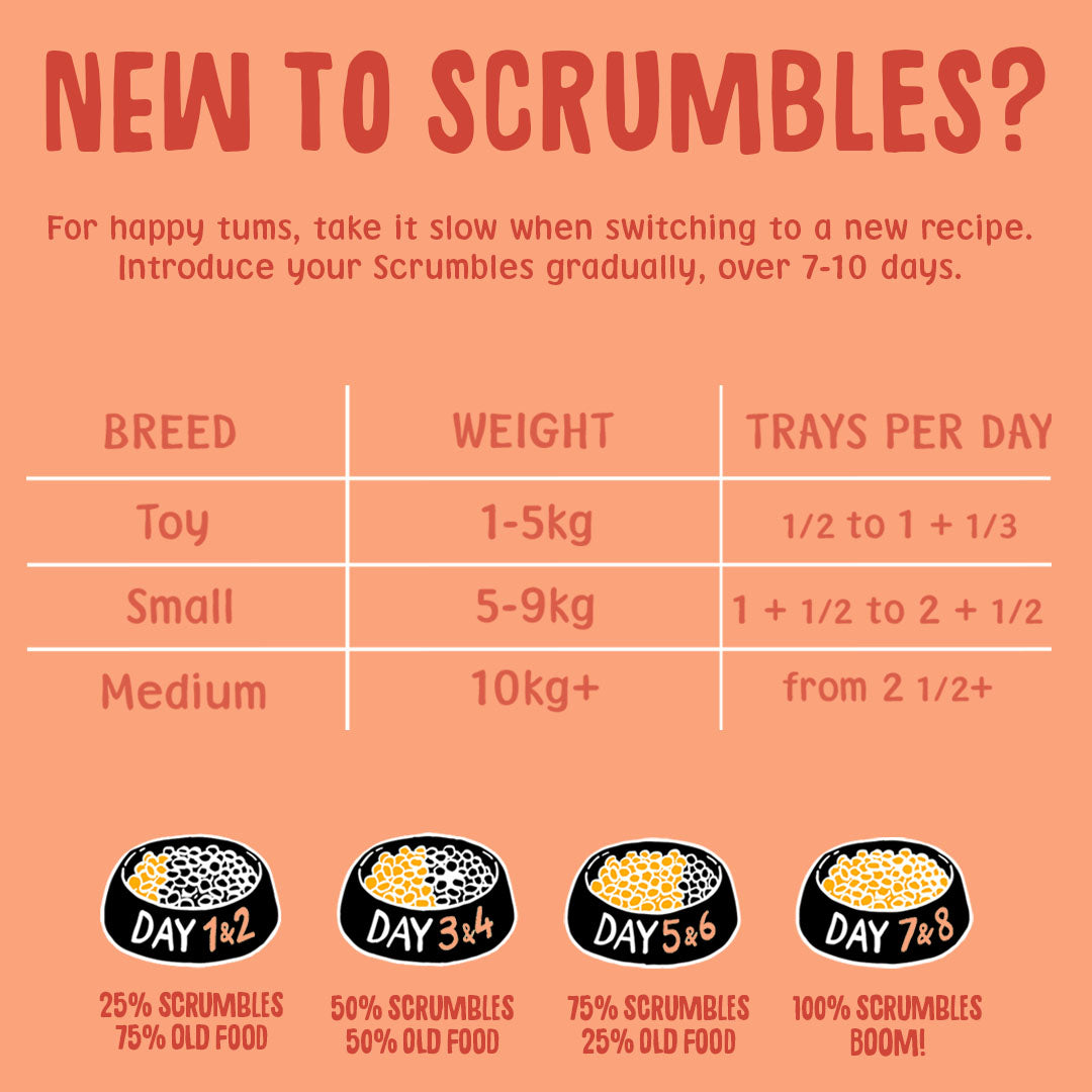 Instructional chart for introducing Scrumbles pet food, showing breed-specific feeding guidelines.