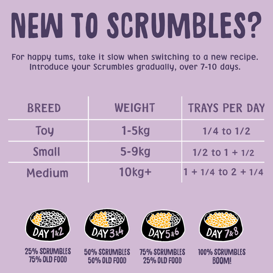 Instructional chart on introducing Scrumbles pet food gradually with breed-specific guidelines.